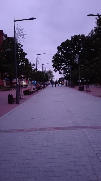 Jaukus Butas Siauliu Miesto Centre Daire Šiauliai Dış mekan fotoğraf